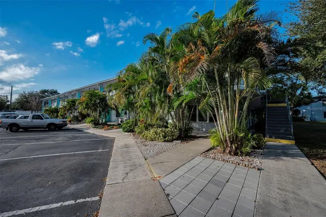 a view of a yard with plants and trees