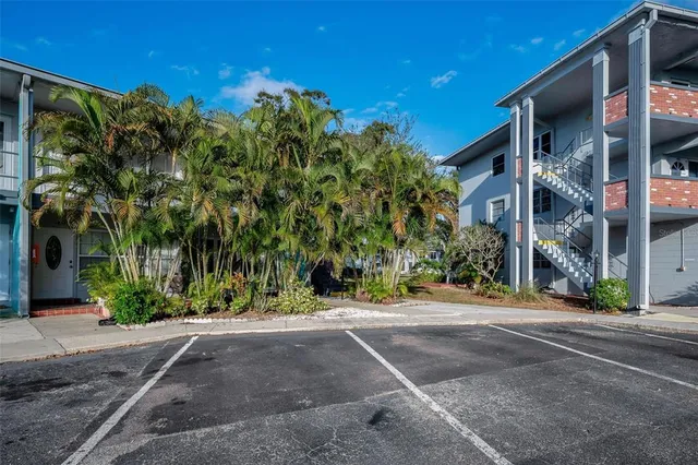 a view of a yard with plants and trees