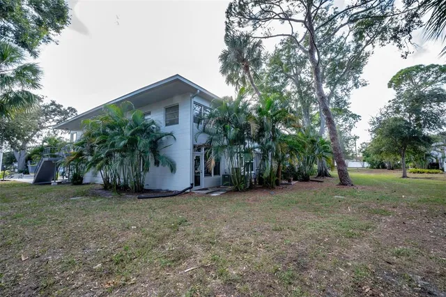 a row of palm trees in front of a house