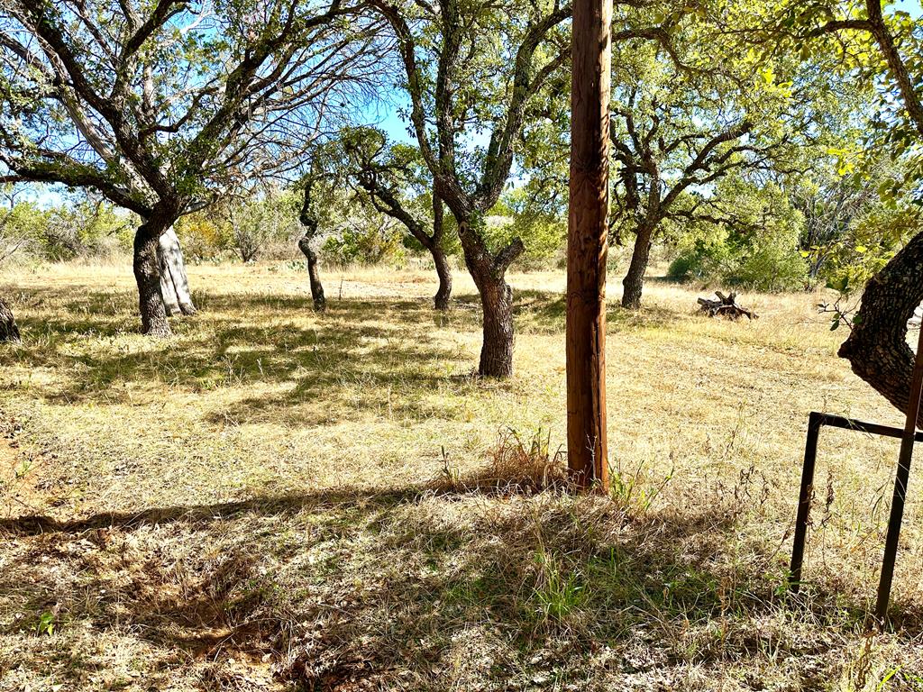 16560 Cedar Bluff Road Mason, TX 76856 - Photo 18 of 34 a view of yard with trees