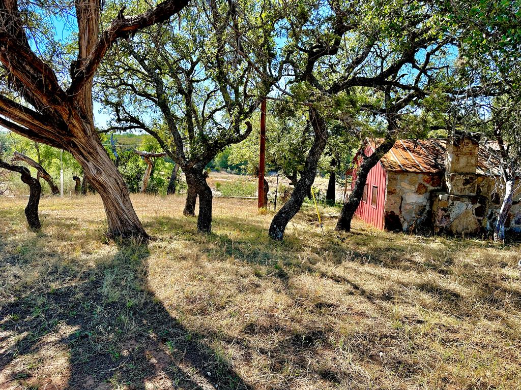 16560 Cedar Bluff Road Mason, TX 76856 - Photo 23 of 34 a view of outdoor space with trees