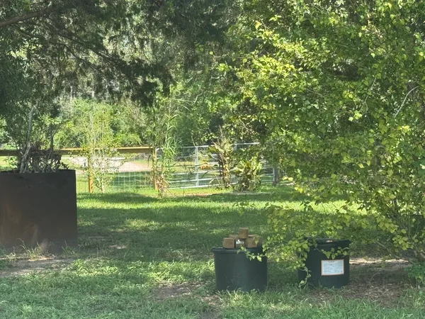 a view of a garden with a lake