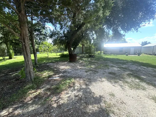 a view of a yard with trees in the background