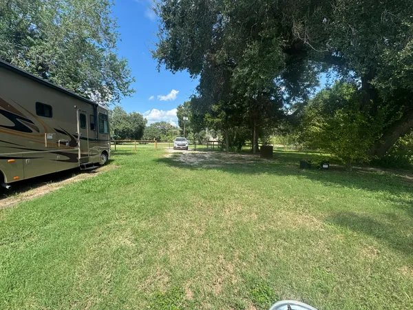 a view of a backyard with large trees