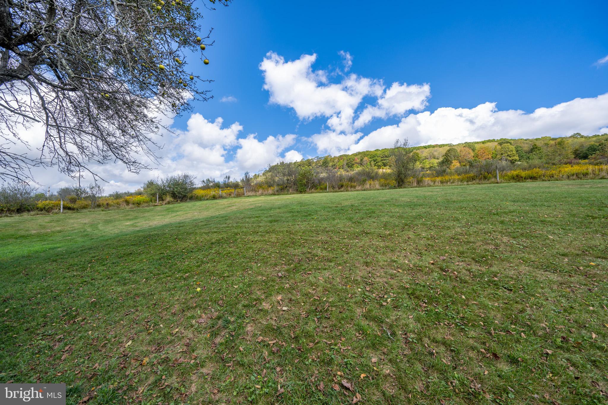 5024 Cranesville Road Oakland, MD 21550 - Photo 56 of 67