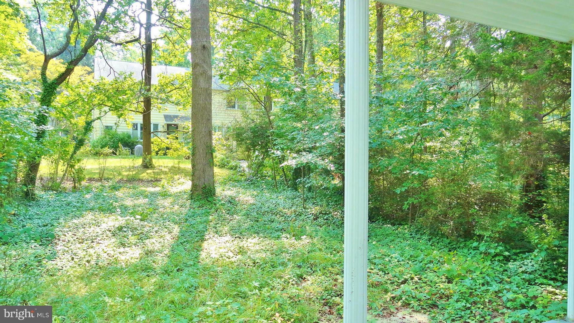 14 Ridge Road, Unit B Greenbelt, MD 20770 - Photo 4 of 8 Wooded Backyard