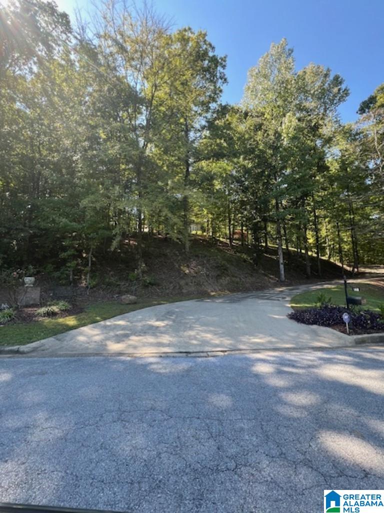 148 Quail Creek Road Helena, AL 35080 - Photo 48 of 49