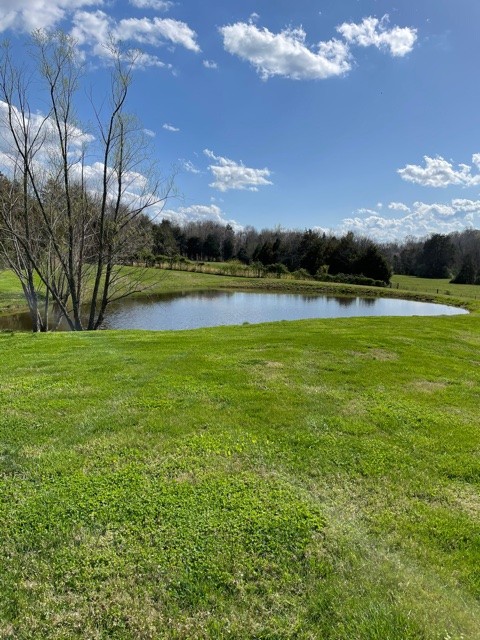 4861 Bethesda Road Thompson's Station, TN 37179 - Photo 5 of 22 a view of a house with a big yard