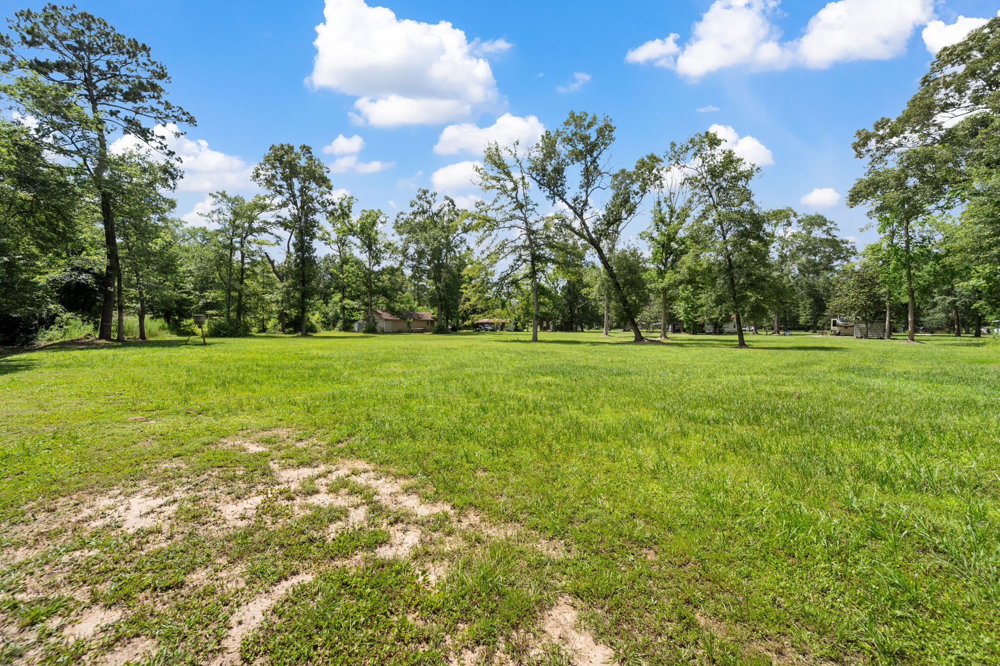 21000 Buck Knoll Road Conroe, TX 77306 - Photo 18 of 20 Left Corner of Property