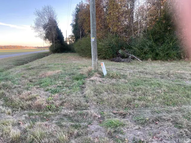 a view of a yard with trees