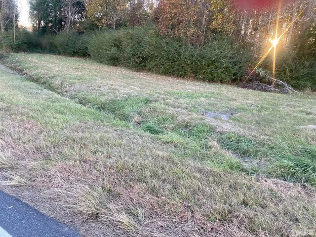 a big yard with lots of green space