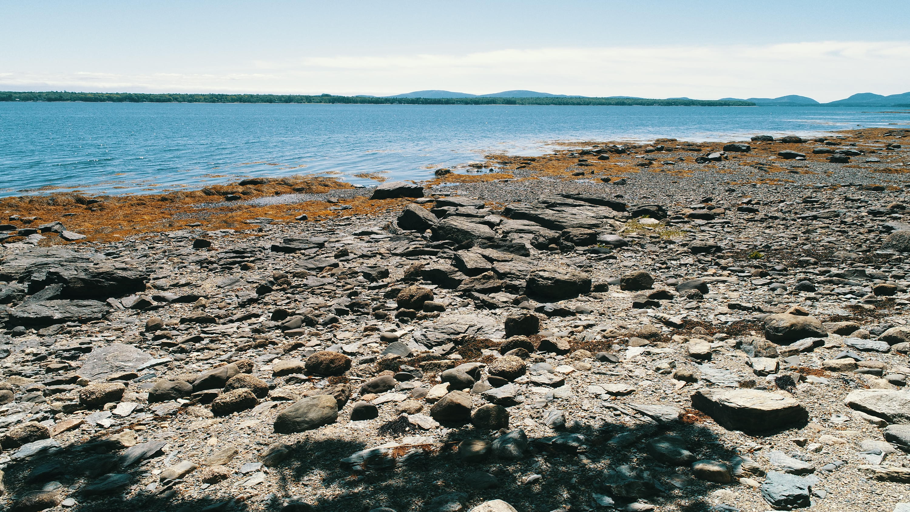 1238 Newbury Neck Road Surry, ME 04684 - Photo 10 of 10 DJI_0051