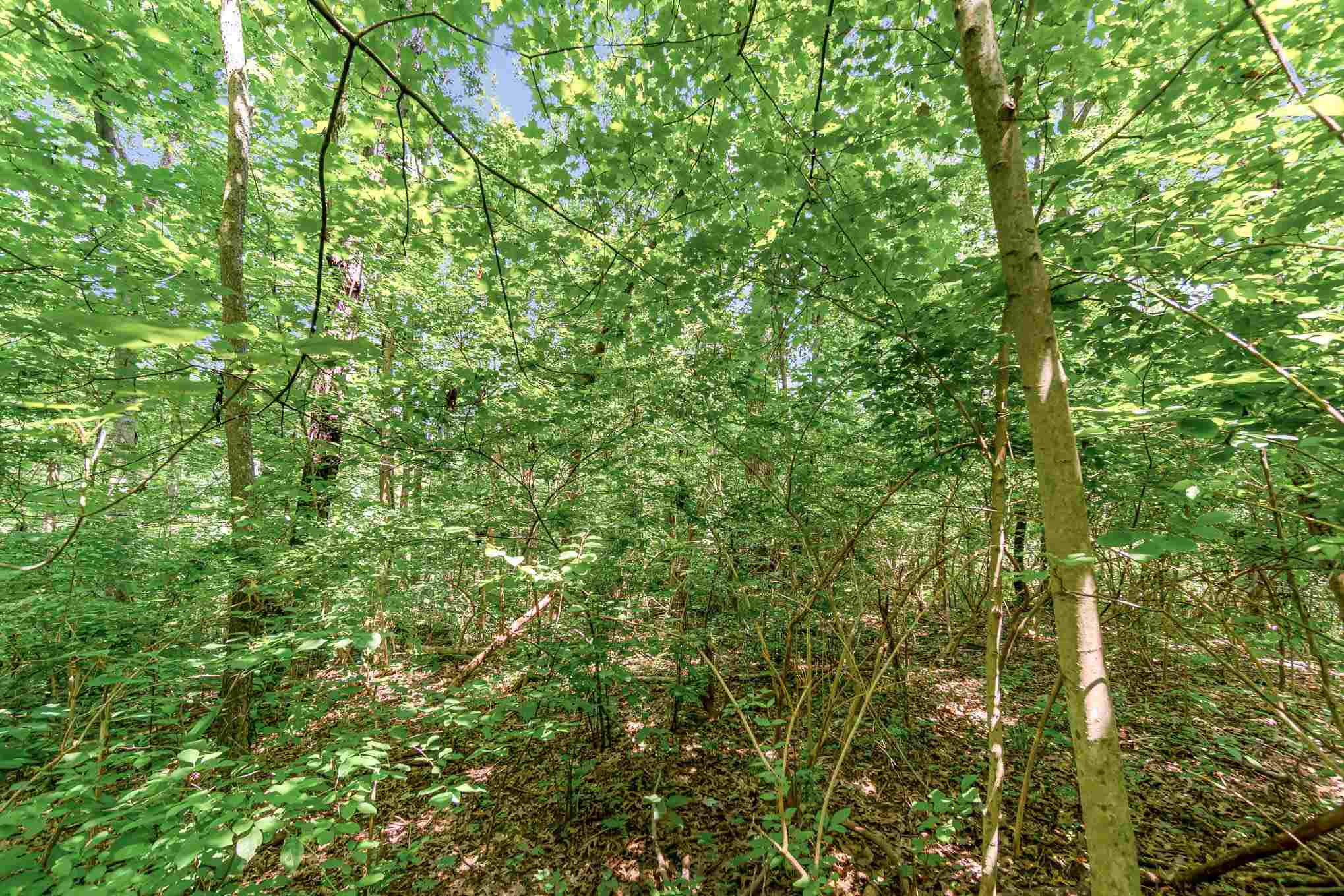 3783 California Cross Road California, KY 41007 - Photo 25 of 25