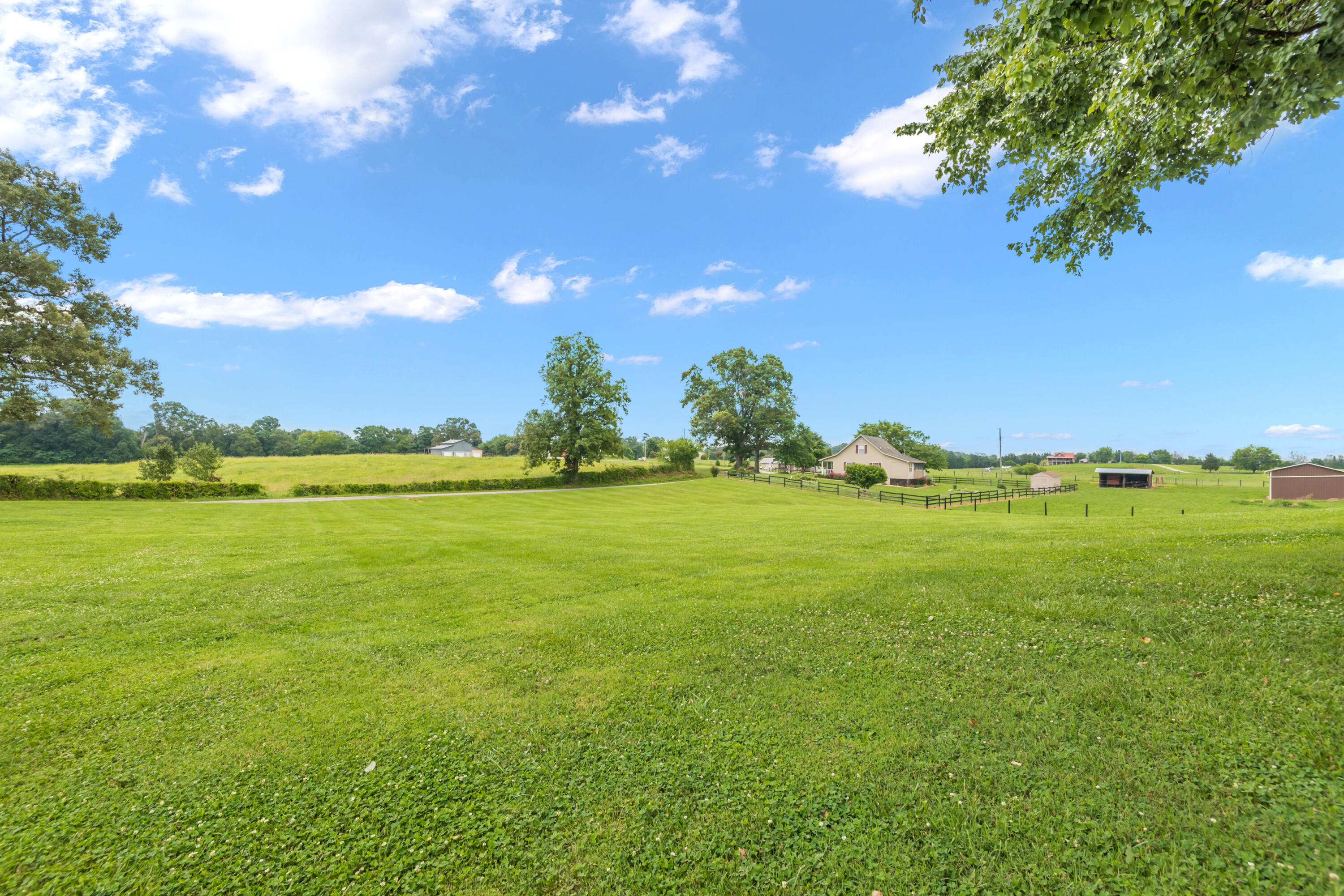 1022 Seed Tick Road Philadelphia, TN 37846 - Photo 25 of 35 1022SeedTickRd_-34