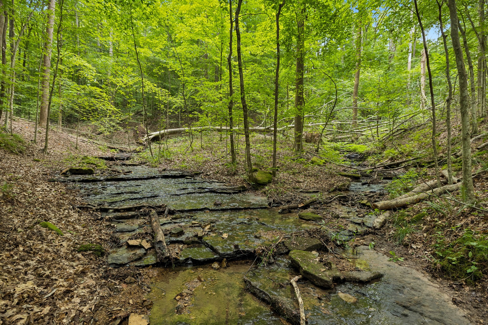 5550 Hargrove Ridge Road Franklin, TN 37064 - Photo 10 of 73 Gallery Image 10
