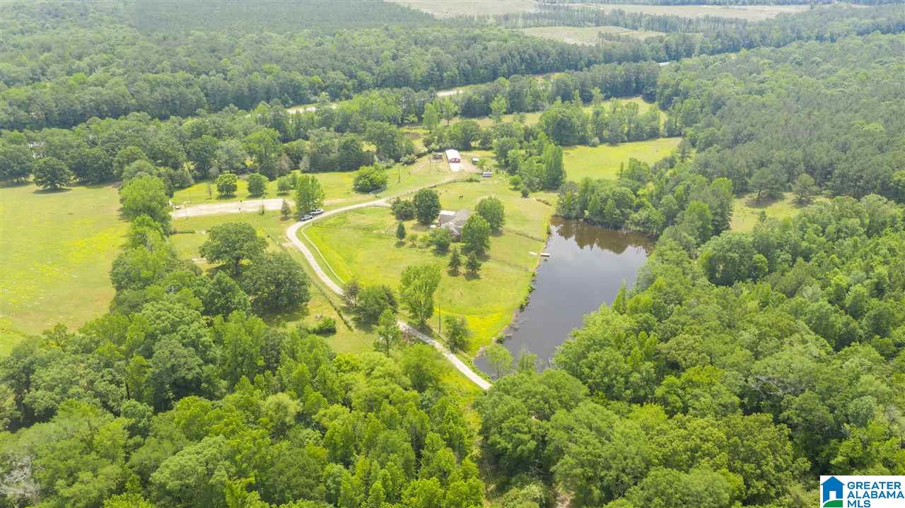 212 Highway 213 Calera Al Calera, AL 35040 - Photo 8 of 50