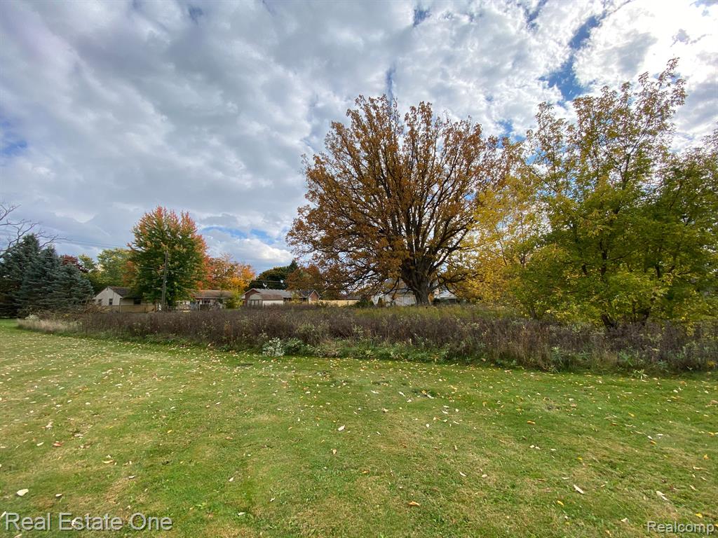 Vl Meadowlawn Road Fowlerville, MI 48836 - Photo 5 of 9