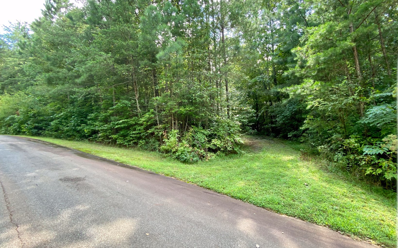 L22 East Rose Ridge Lane Ellijay, GA 30536 - Photo 1 of 1 a view of a yard with plants and a small yard