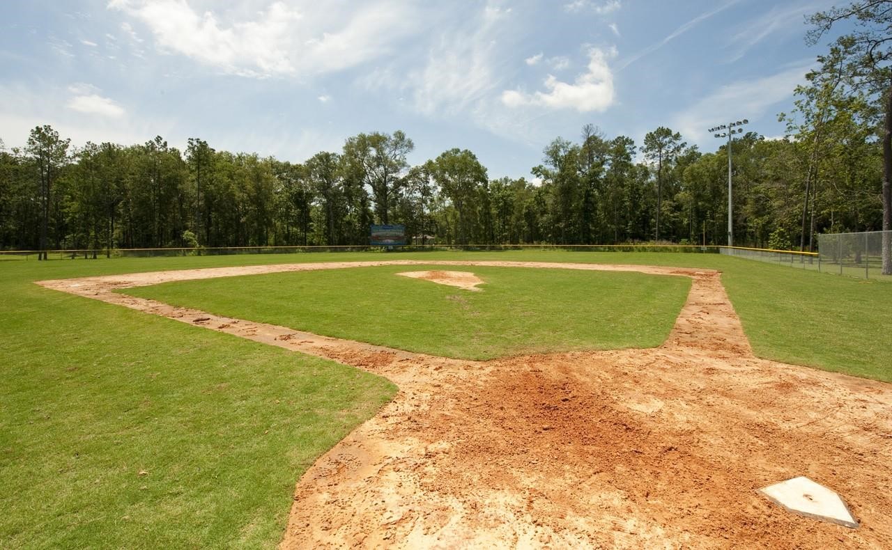 27539 South Lazy Meadow Way Spring, TX 77386 - Photo 15 of 31 Sports park is available for all athletes!