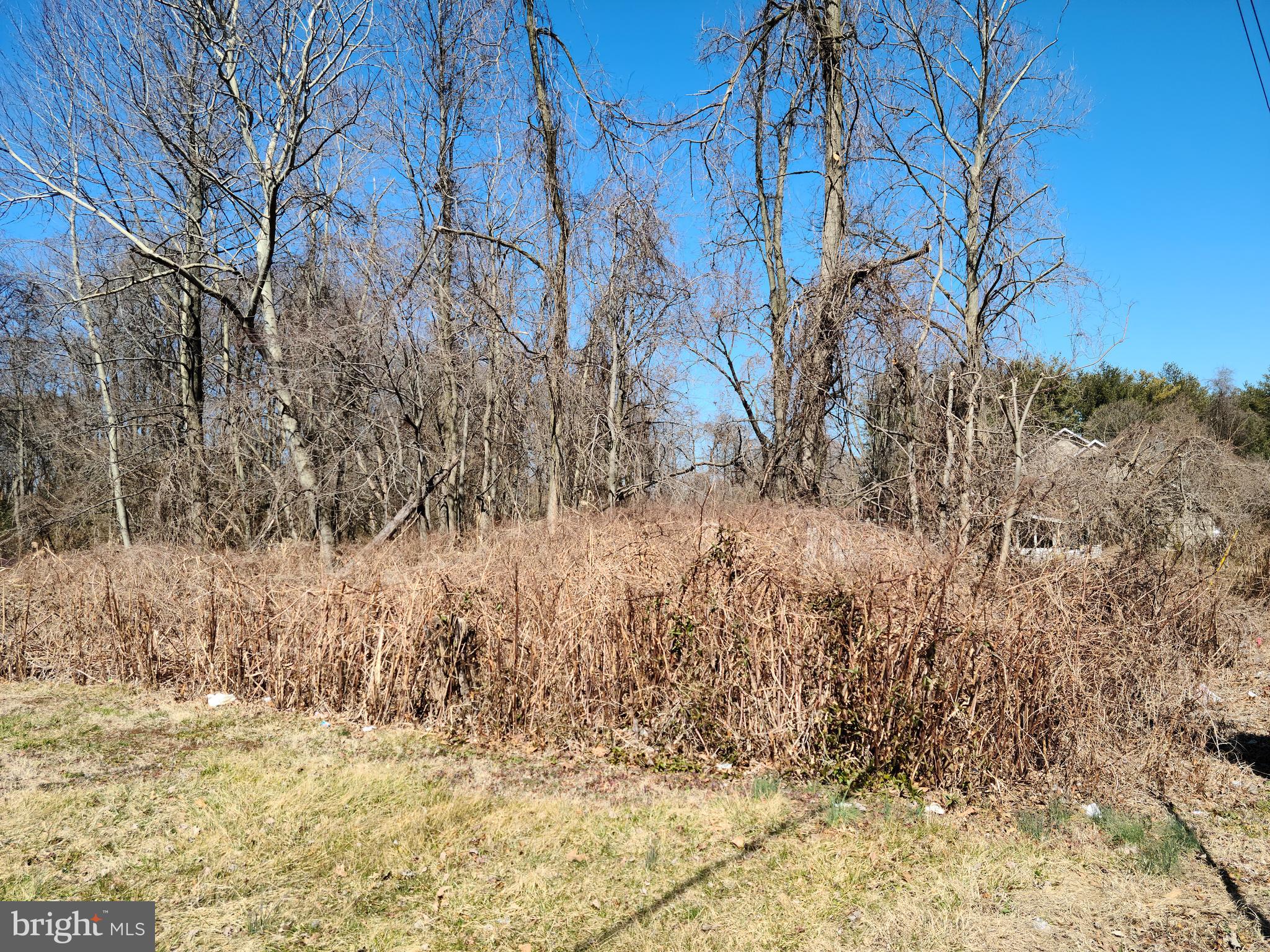 8162 A Hog Neck Road Pasadena, MD 21122 - Photo 9 of 10 Gallery Image 9
