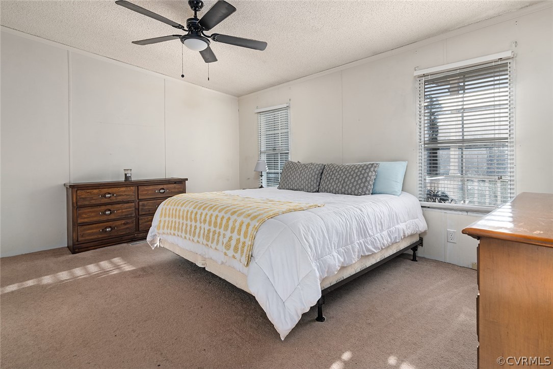 16310 Hamilton Arms Road Dewitt, VA 23840 - Photo 20 of 41 a bedroom with a bed dresser and a window