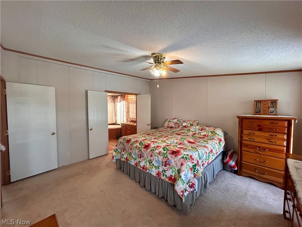 44501 Hanover Ridge Road Jewett, OH 43986 - Photo 11 of 33 Carpeted bedroom with a decorative wall, ornamental molding, a textured ceiling, ceiling fan, and ensuite bath