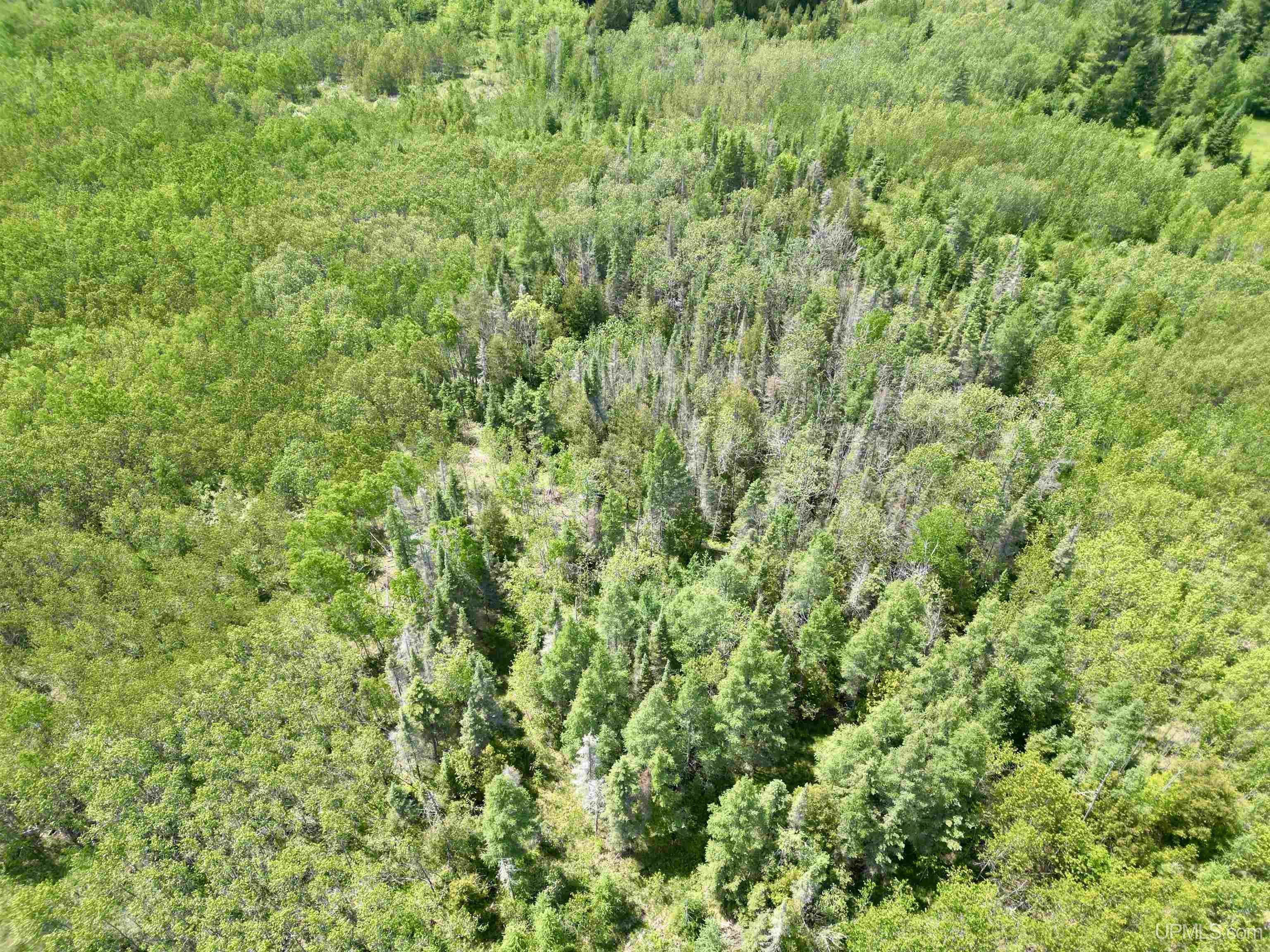 400 Rd Perronville Mi 49807 Road Bark River, MI 49807 - Photo 9 of 30
