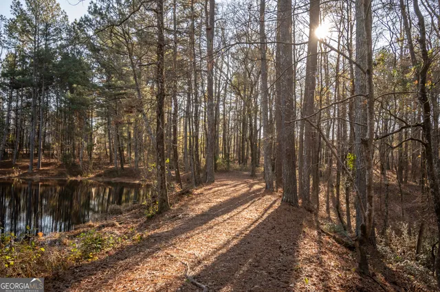 a view of a yard with wooden fence
