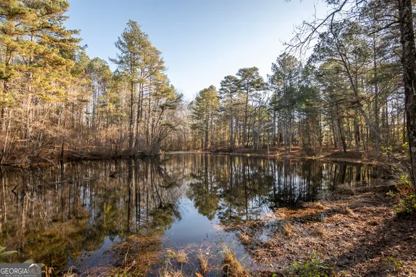 a view of river covered by trees and buildings