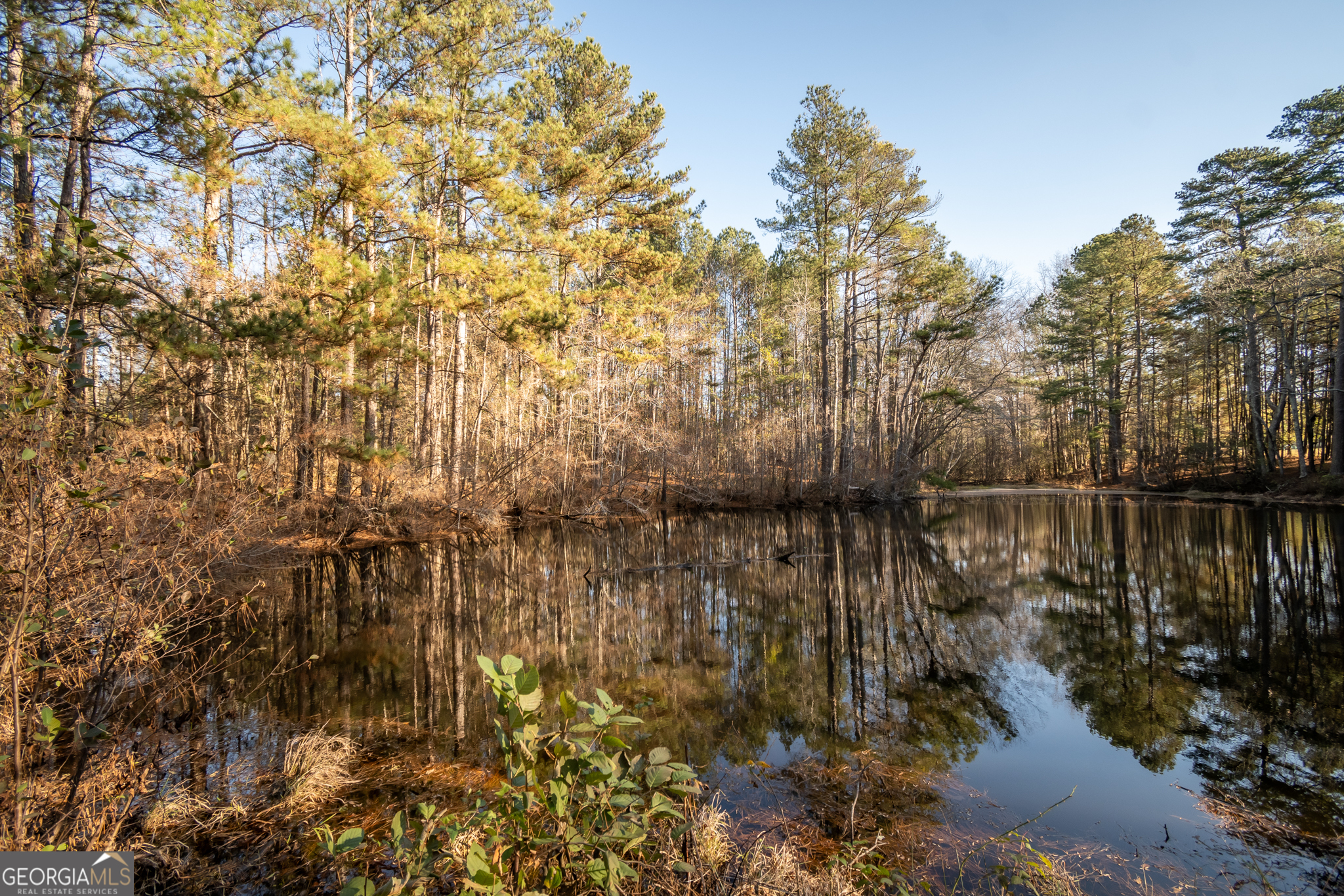 2893 Whitlow Ridge Drive Bishop, GA 30621 - Photo 50 of 50