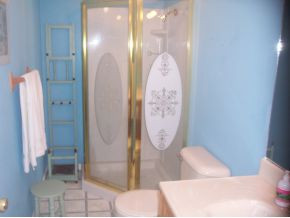555 Shepards Chapel Road Rogersville, TN 37857 - Photo 8 of 12 Bath with Shower