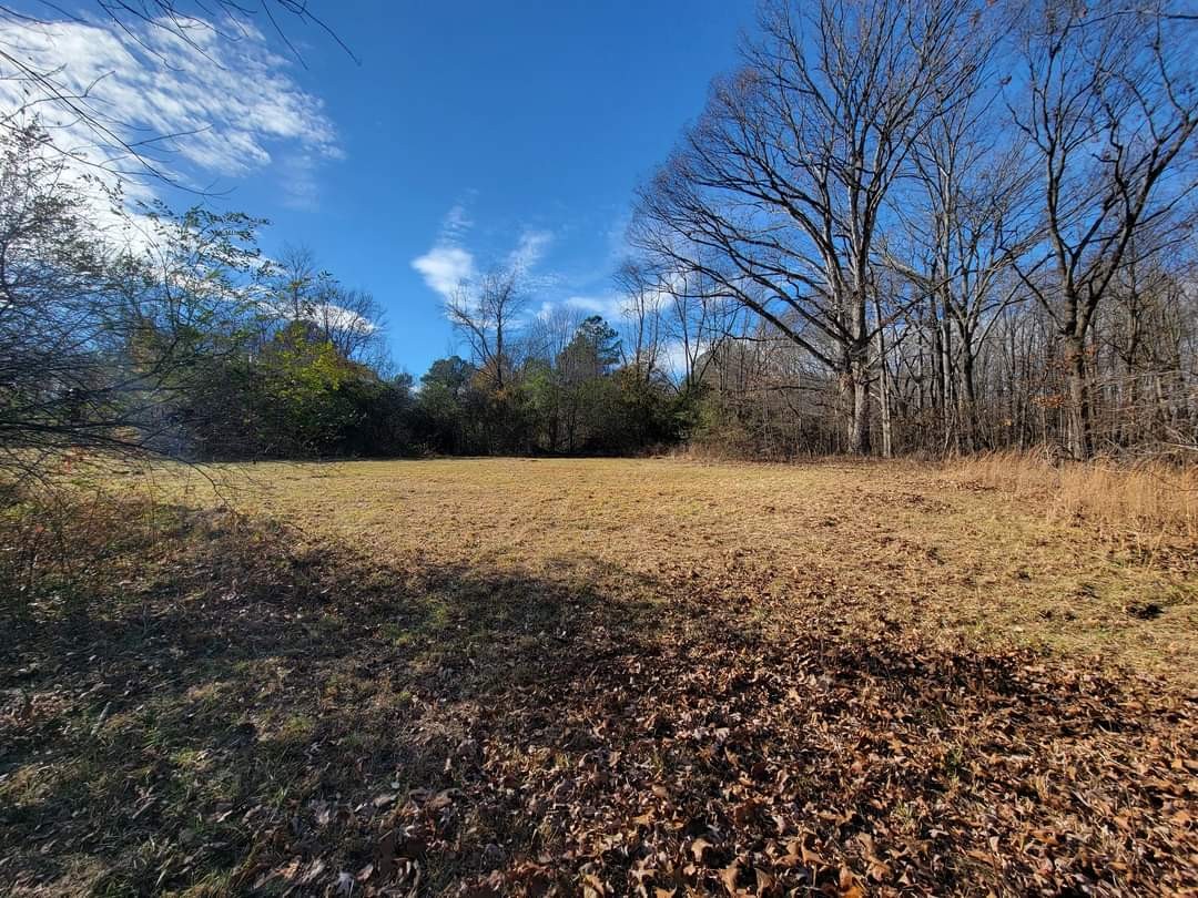 0 Kaiser Road Dickson, TN 37055 - Photo 1 of 7 a view of patio with a yard