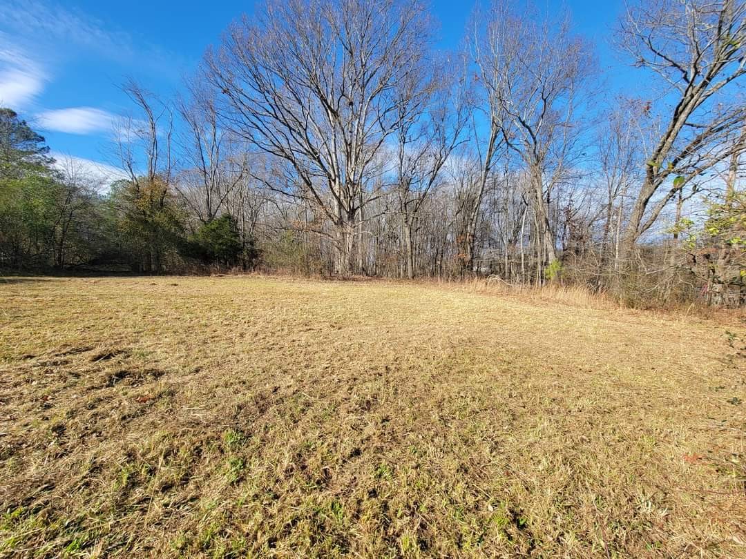 0 Kaiser Road Dickson, TN 37055 - Photo 2 of 7 a view of yard with trees