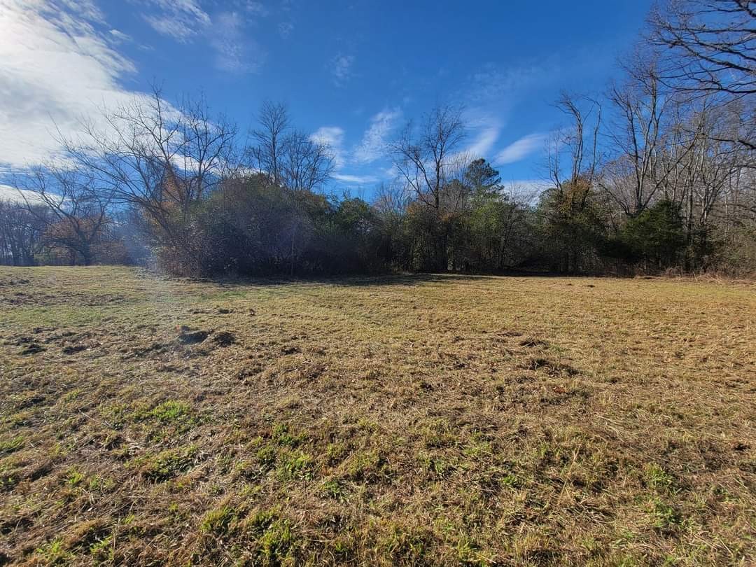 0 Kaiser Road Dickson, TN 37055 - Photo 3 of 7 a view of open space with a yard