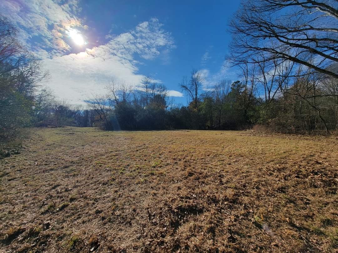0 Kaiser Road Dickson, TN 37055 - Photo 4 of 7 a view of a lake view