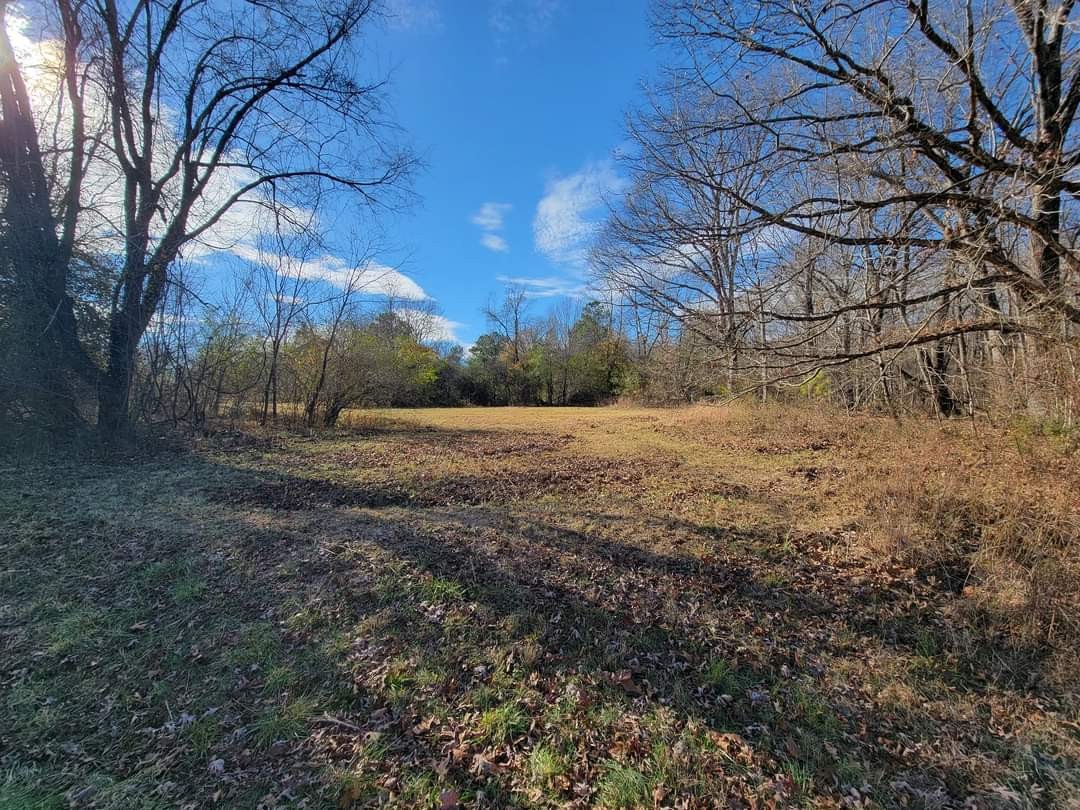 0 Kaiser Road Dickson, TN 37055 - Photo 5 of 7 a view of dirt yard with large trees