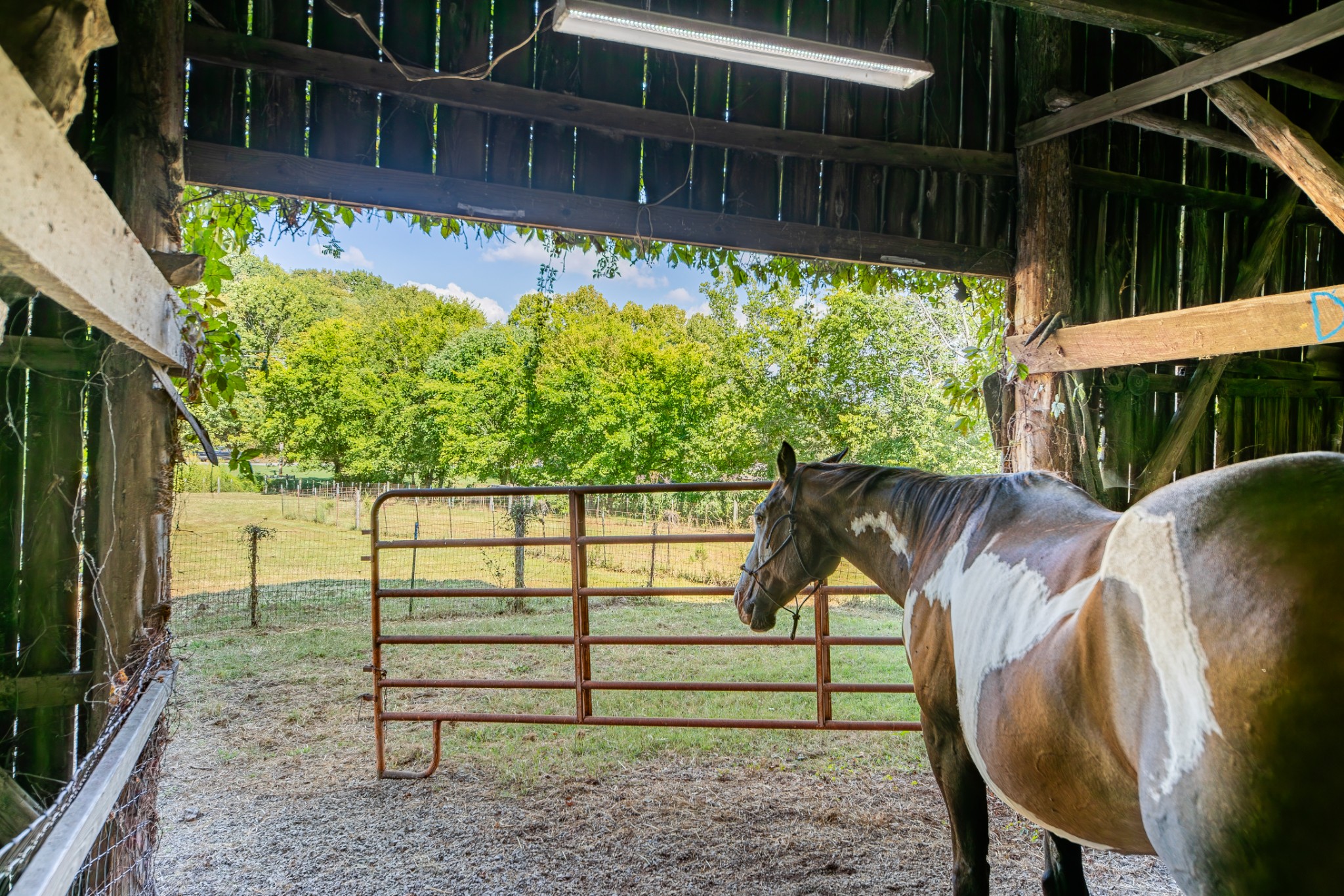 6861 Arno-Allisona Road College Grove, TN 37046 - Photo 28 of 81 Gallery Image 28