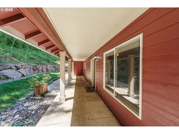 a couple of potted plants in front of door