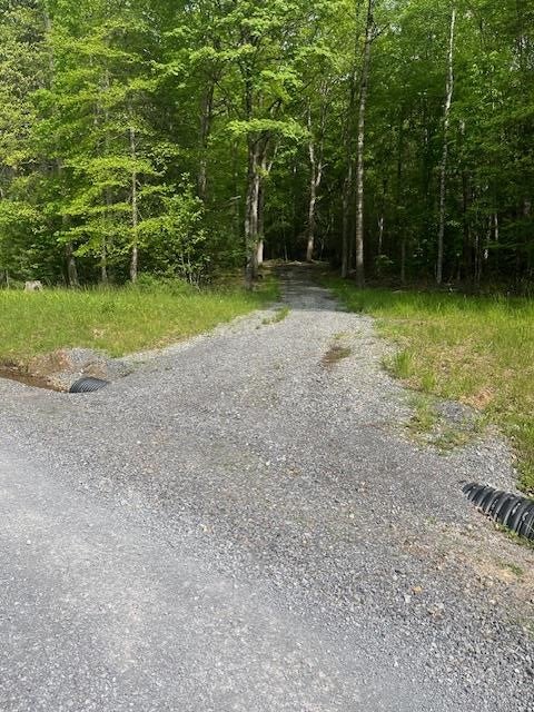 Lot 19 Brookstone Road, Unit 19 Bastian, VA 24314 - Photo 8 of 19 Gallery Image 8