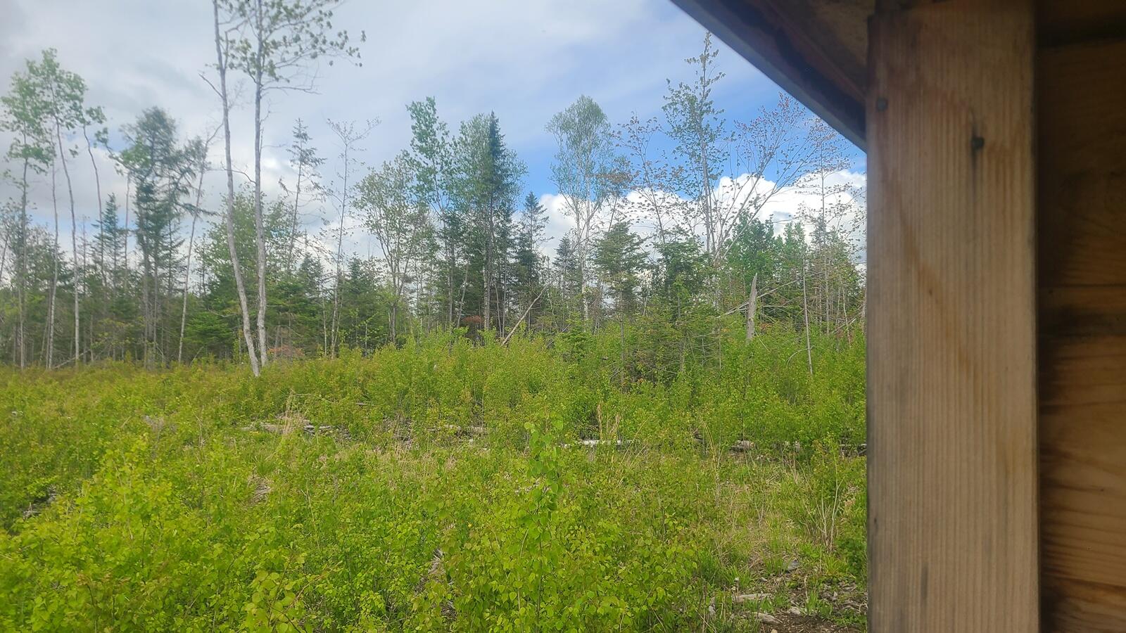 5-003-c Grendell Road Mapleton, ME 04757 - Photo 11 of 12 20260529_131312