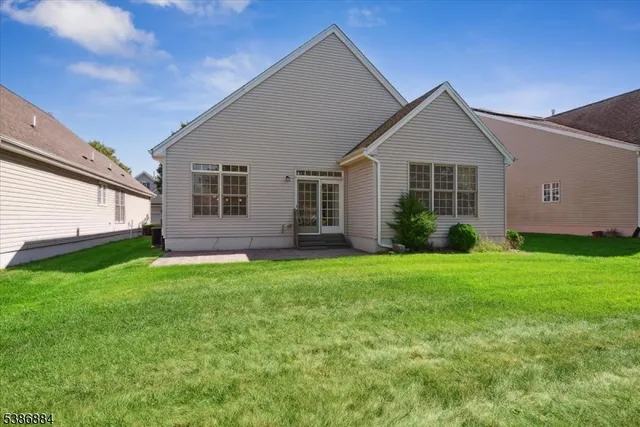 a view of a park with plants and trees