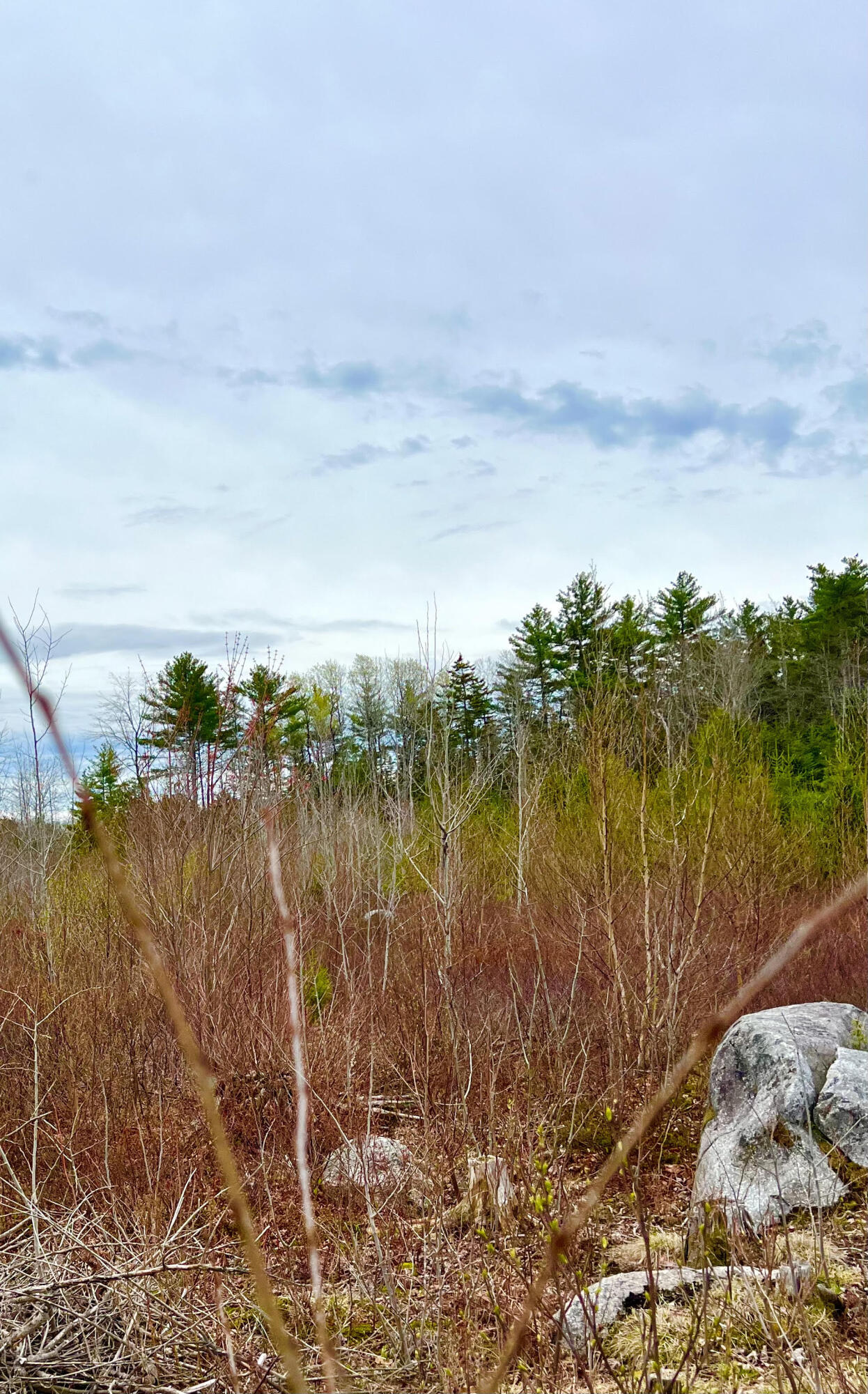 19 Aspen Lane Sullivan, ME 04664 - Photo 6 of 16 Land