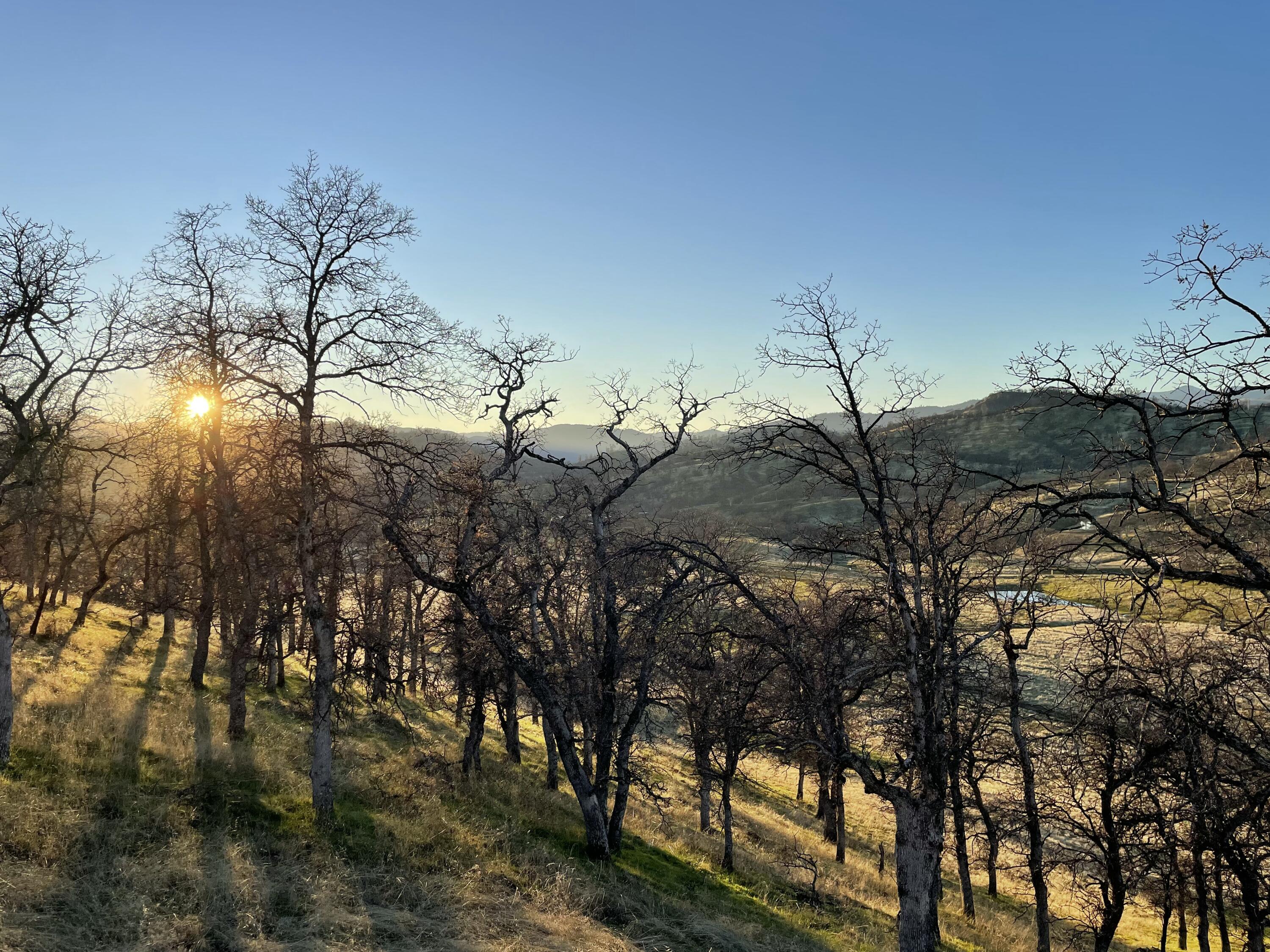 Fiddlers Road Platina, CA 96076 - Photo 21 of 26 IMG_6548