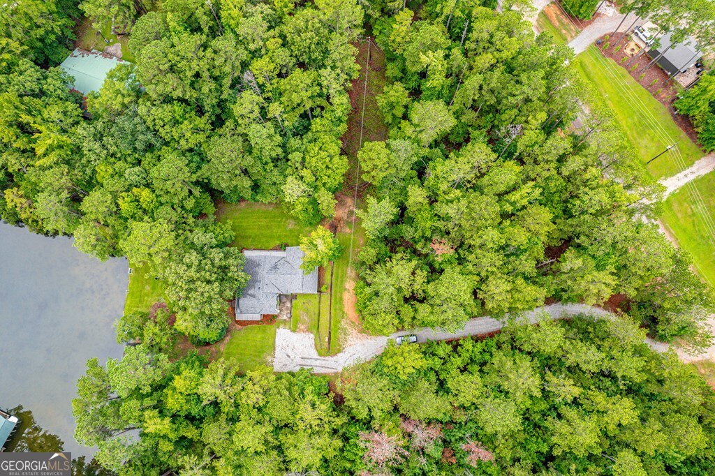 291 Power Point Milledgeville, GA 31061 - Photo 45 of 51 a plant that is sitting in a garden