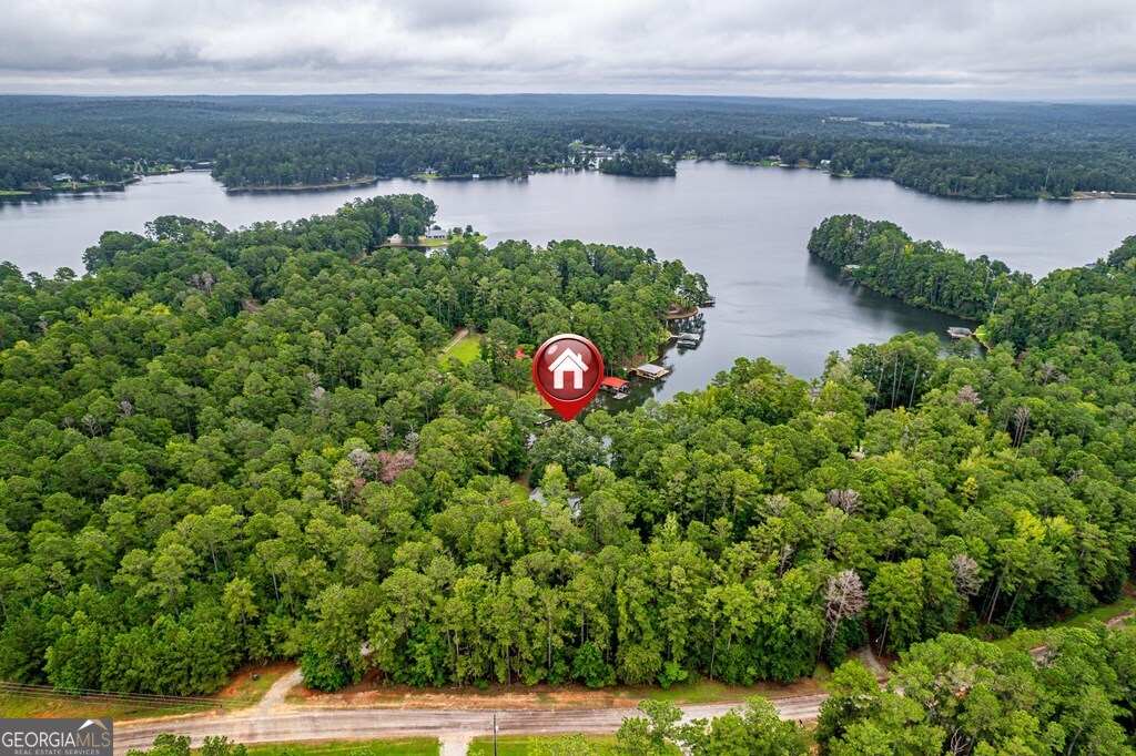 291 Power Point Milledgeville, GA 31061 - Photo 51 of 51 a view of a lake with a lake