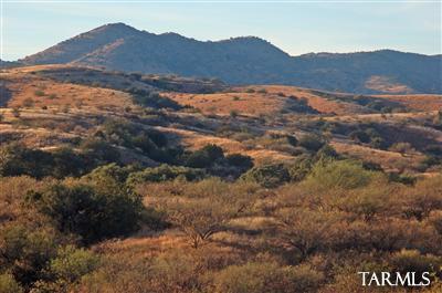 Ranch Road, Unit WEST Patagonia, AZ 85624 - Photo 10 of 15