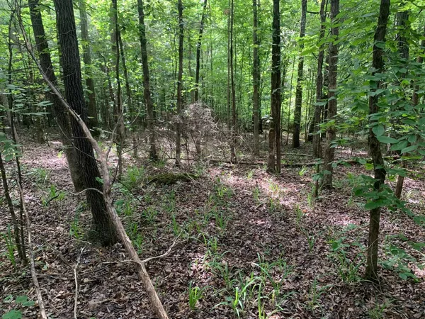 $19,799 | Cave Hollow Cave Hollow Lane, Savannah, TN 38372