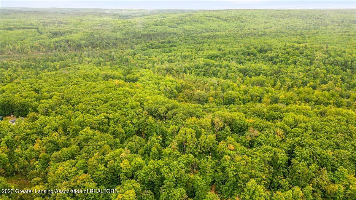 6421 King Road Lewiston, MI 49756 - Photo 31 of 31 12-Media Jett-10