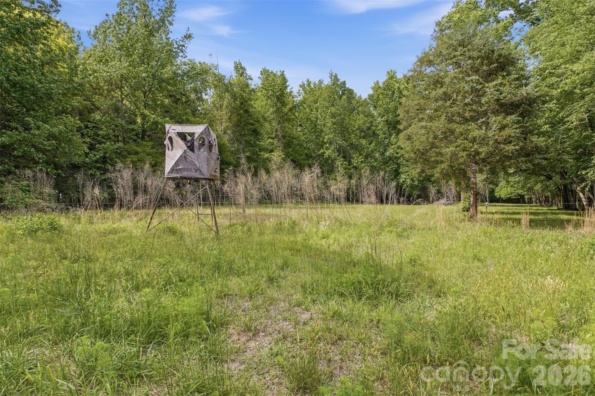 1739 Westbrook Road Edgemoor, SC 29712 - Photo 3 of 48