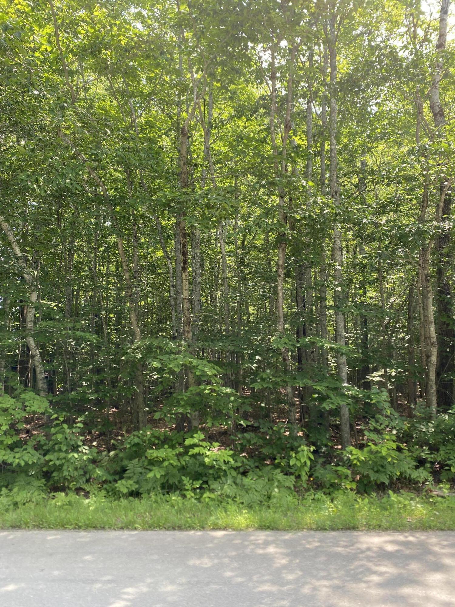Lot #15 York Road Hermon, ME 04401 - Photo 2 of 3 IMG_2250
